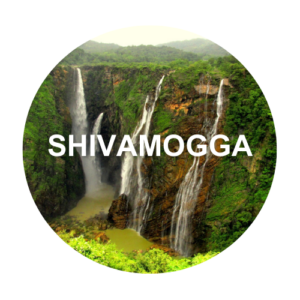 THE SHIVAMOGGA LOCATION OF LIFPELUS MEDICAL